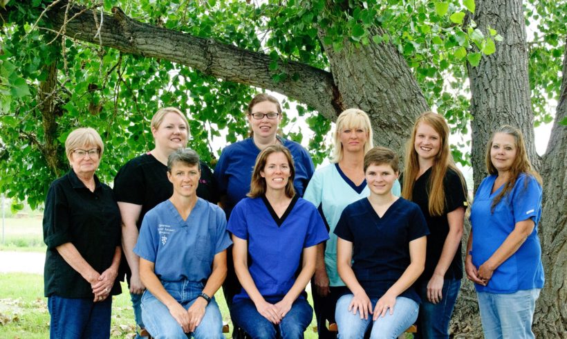 Cheyenne River Animal Hospital