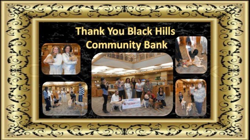 thank you to black hills community bank