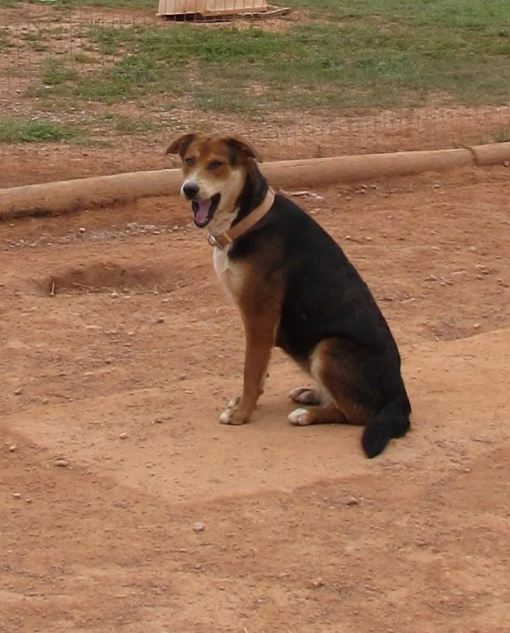 Maggie Maggie